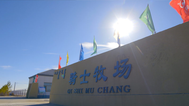 不朽情缘MG牧场